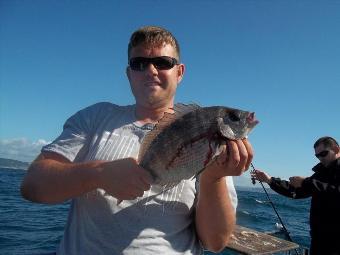 2 lb 8 oz Black Sea Bream by Unknown