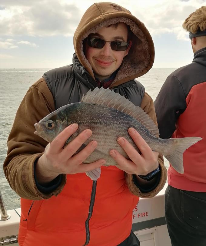 1 lb 2 oz Black Sea Bream by Unknown