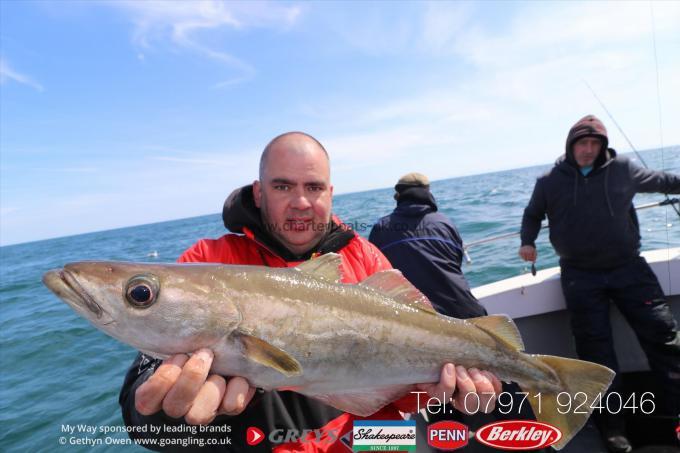 4 lb Pollock by Paul