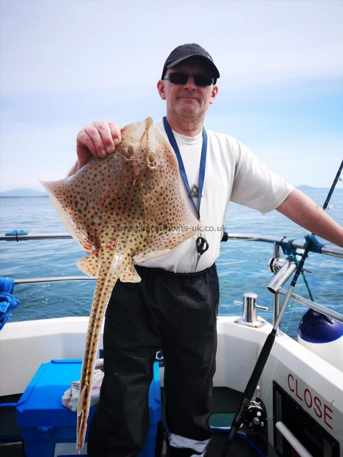 3 lb 15 oz Spotted Ray by Unknown