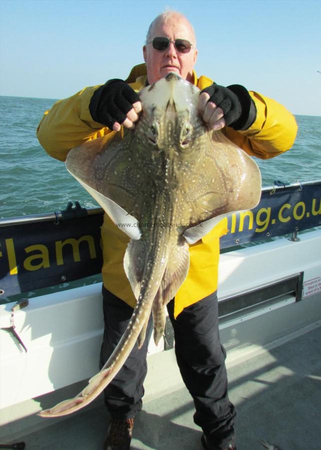 12 lb 9 oz Undulate Ray by Jim Birnie