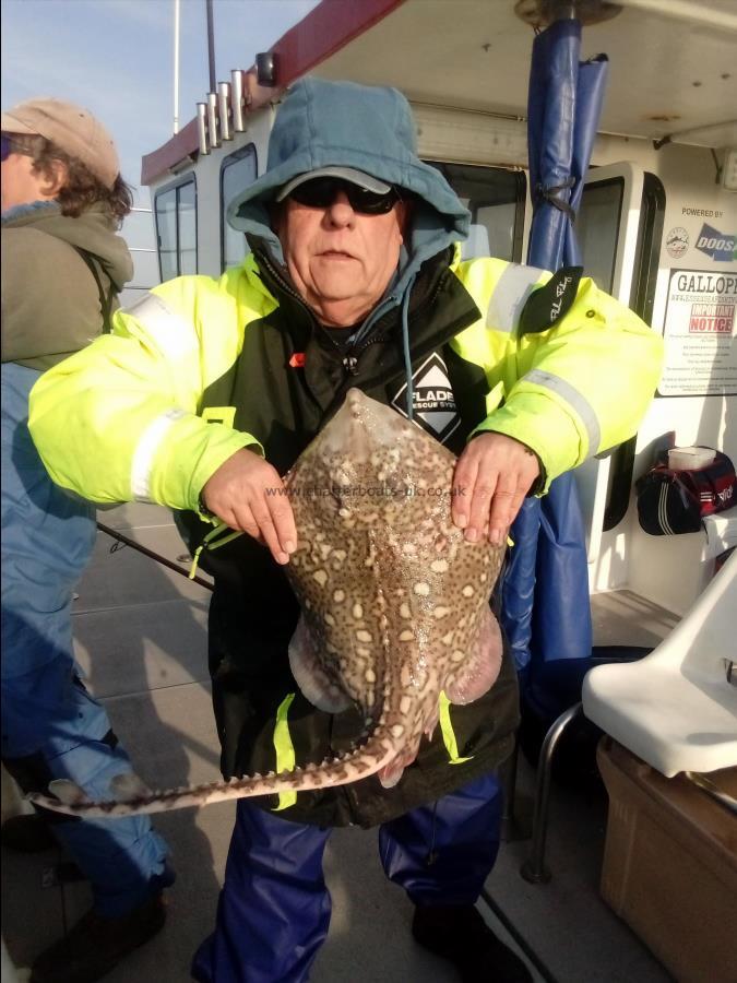 2 oz Thornback Ray by Unknown