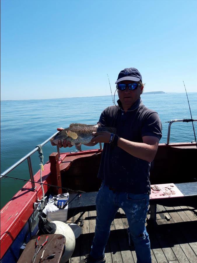 4 lb Ballan Wrasse by Jeremy from Shaftesbury...