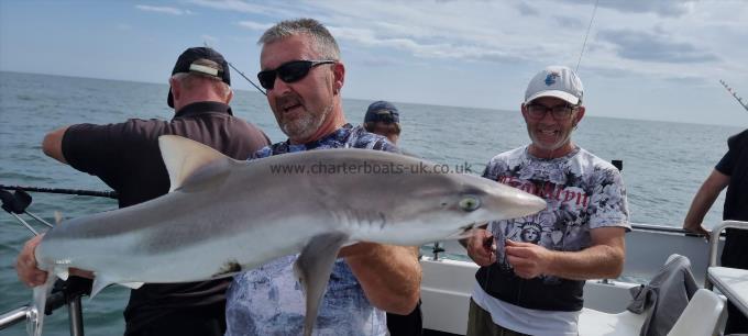 45 lb Tope by skipper Jon