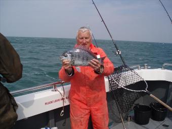 3 lb 12 oz Black Sea Bream by Derek Harris