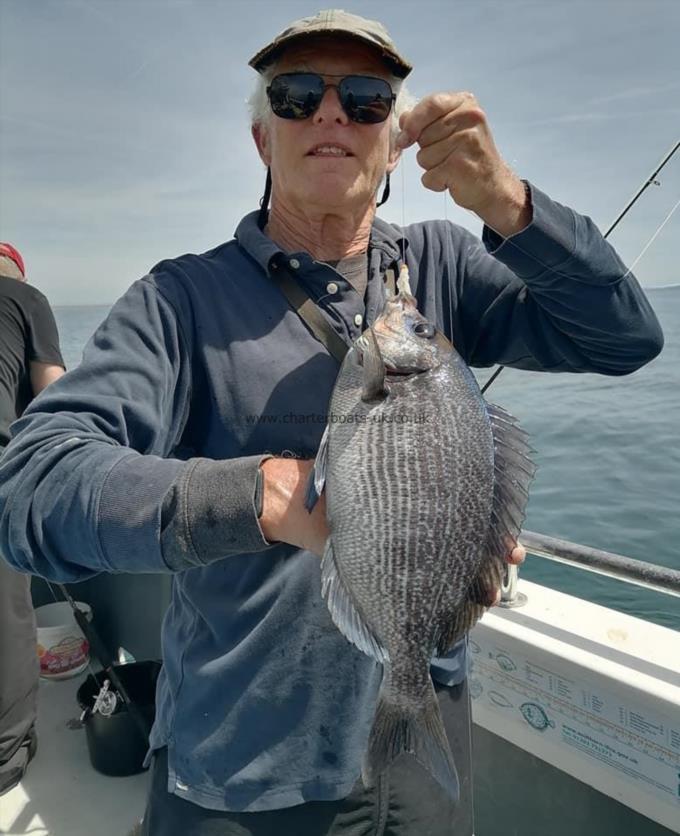 2 lb 1 oz Black Sea Bream by Dave