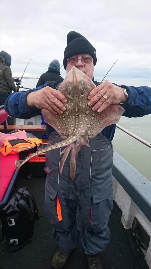 3 lb 2 oz Thornback Ray by Billy from London
