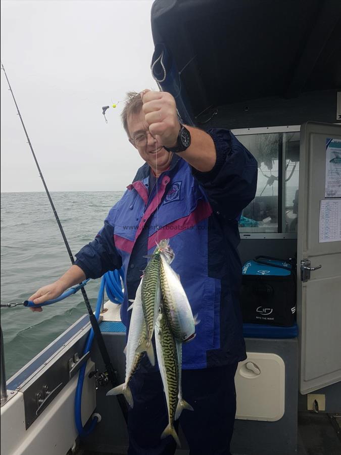 1 lb Mackerel by Jim