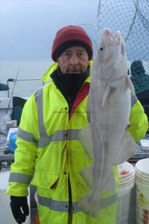 9 lb Cod by Unknown