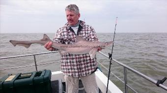 8 lb 6 oz Smooth-hound (Common) by Bob Marshall