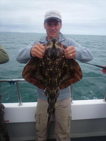 13 lb Undulate Ray by Adrian Chick