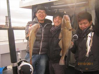 6 lb 9 oz Cod by Unknown