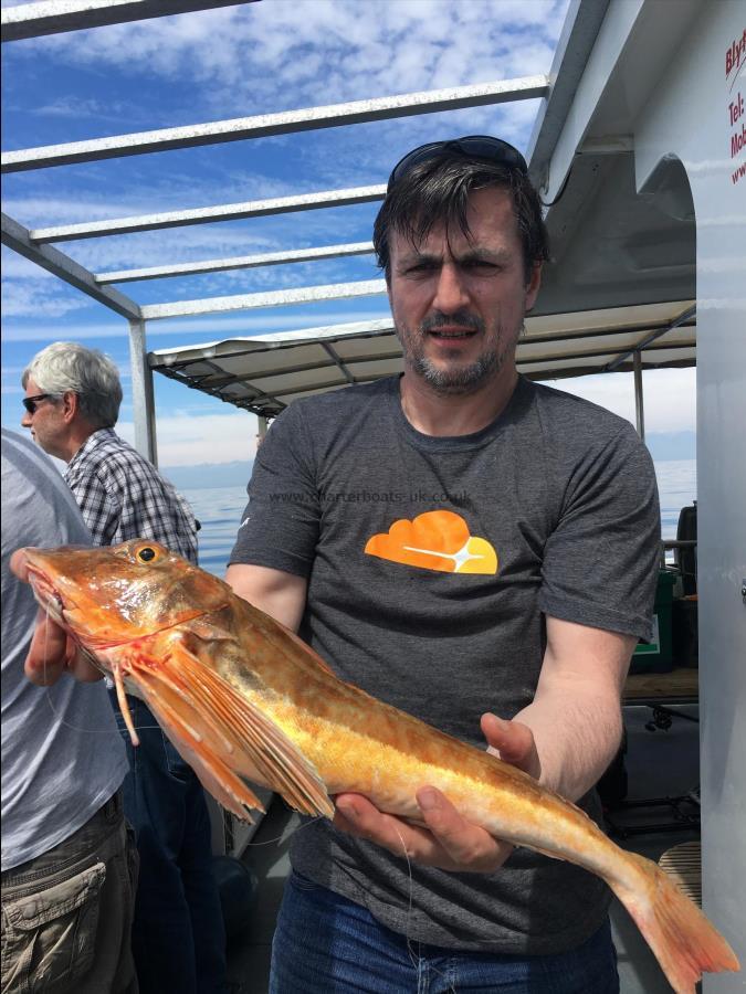 4 lb 6 oz Tub Gurnard by Nick