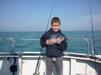 2 lb 8 oz Black Sea Bream by Finn Palmer