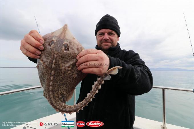 3 lb Thornback Ray by Rich