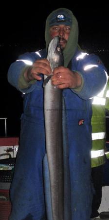 13 lb Conger Eel by Tim Smith Gosling