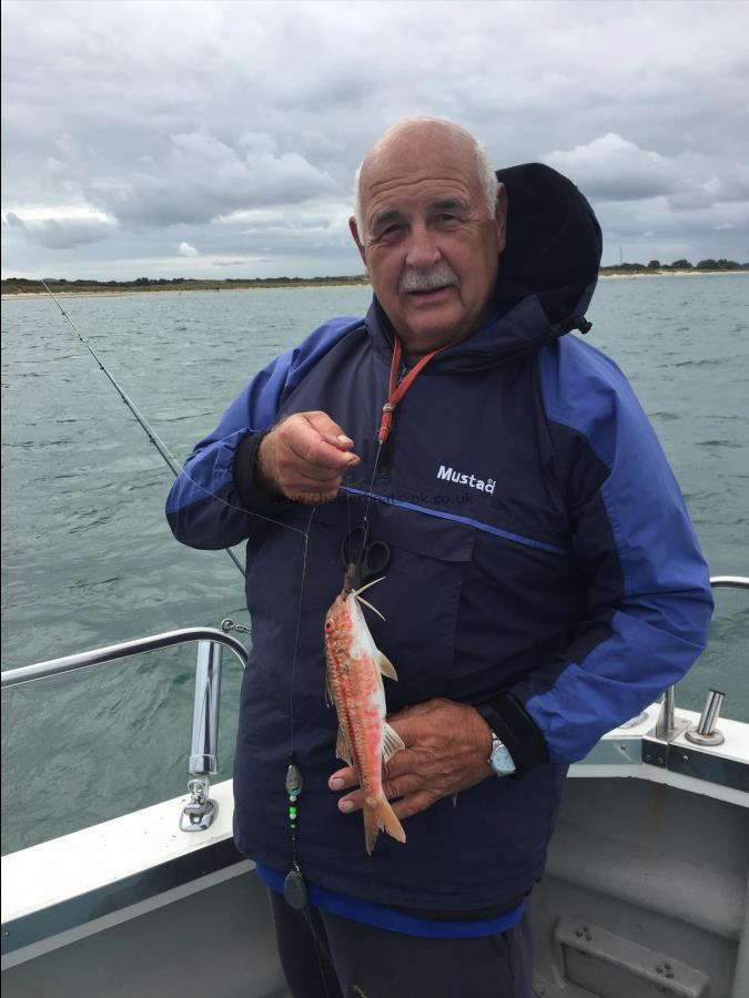 8 oz Red Mullet by Granddad Clive