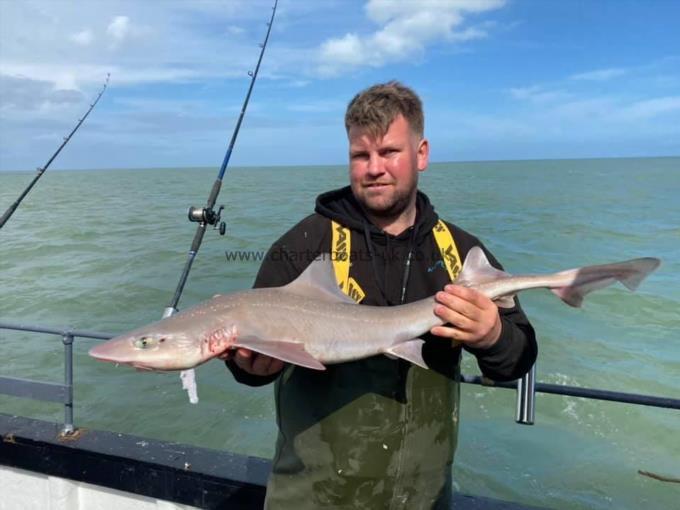 11 lb Smooth-hound (Common) by Unknown
