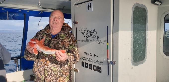 2 lb Red Gurnard by Mike C