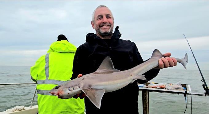 6 lb Smooth-hound by Billy