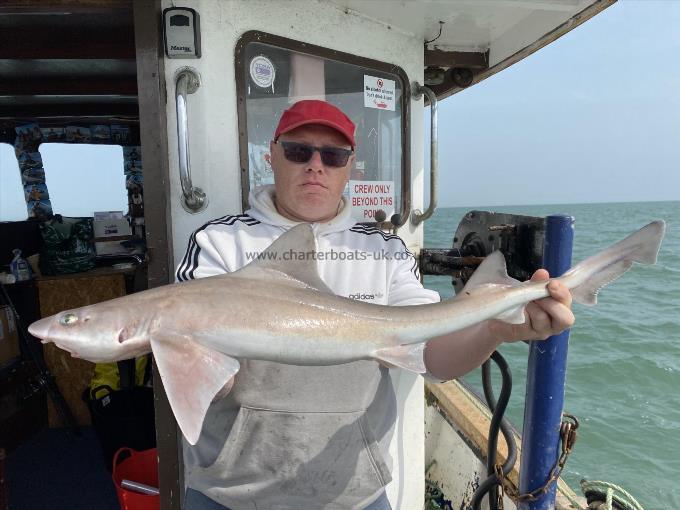 7 lb Smooth-hound (Common) by Unknown