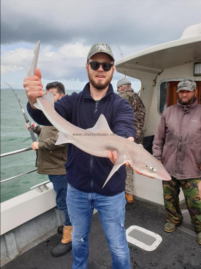 7 lb Starry Smooth-hound by Bob Marshall