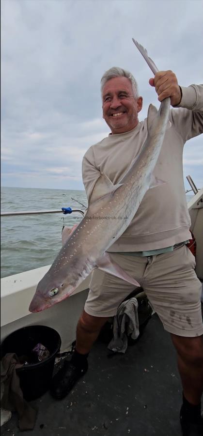 10 lb Starry Smooth-hound by James