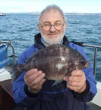 3 lb 12 oz Black Sea Bream by Kevin Trenchard