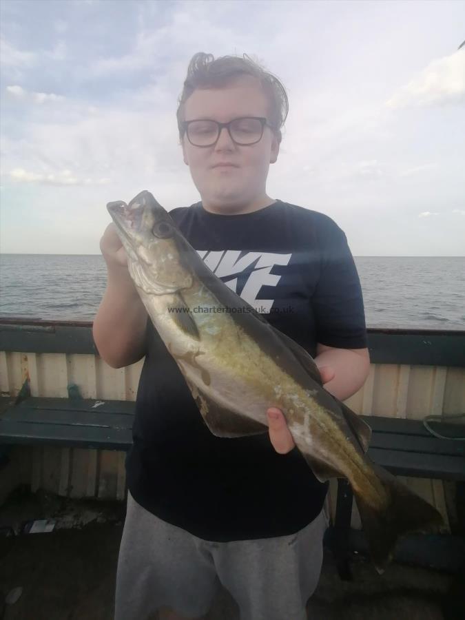 3 lb 8 oz Pollock by Unknown