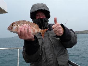 1 lb 4 oz Couch's Sea Bream by Ian Napier