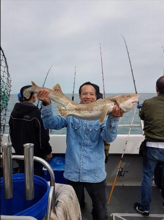 16 lb 5 oz Bull Huss by Unknown