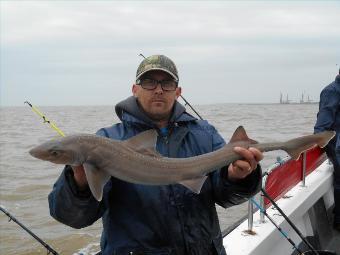 6 lb Smooth-hound by Jason