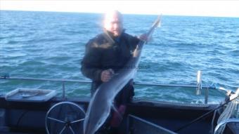 38 lb Tope by Skipper steve