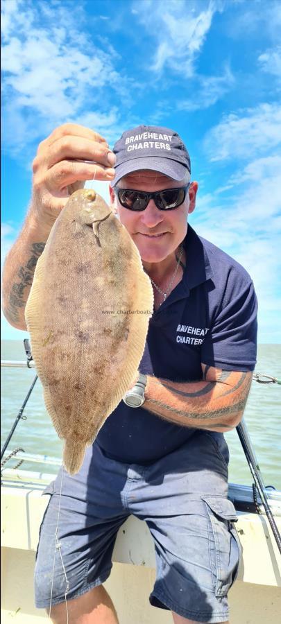 2 lb Dover Sole by Unknown