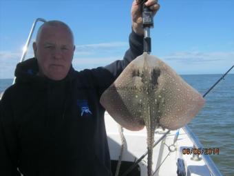 3 lb Thornback Ray by Tommy