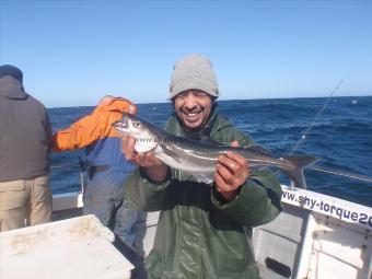 2 lb 15 oz Coalfish (Coley/Saithe) by Andy from Thornaby on Tees.