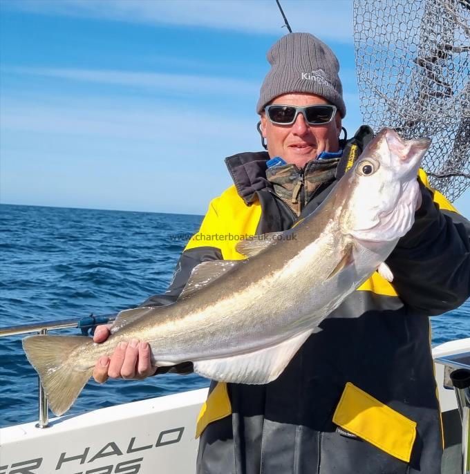 15 lb 5 oz Pollock by Steve