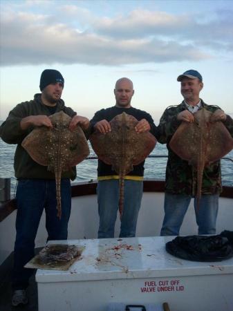 13 lb 2 oz Thornback Ray by Martin Thorn