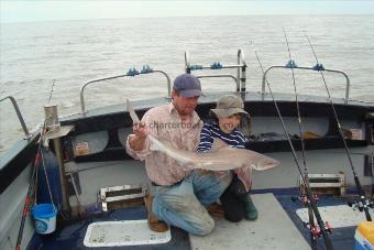 10 lb Starry Smooth-hound by aaron/ethan