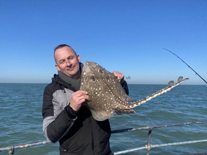 8 lb Thornback Ray by Unknown