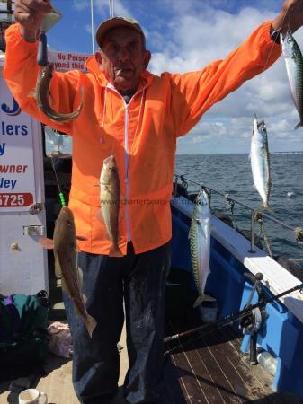 1 lb 6 oz Mackerel by dave sansby 6 fish in one drop 12/7/2016