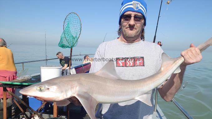 10 lb 3 oz Smooth-hound (Common) by Kevin from Canterbury