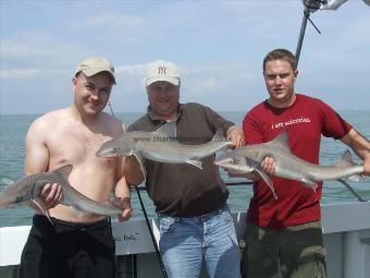 10 lb 8 oz Smooth-hound by liam baker