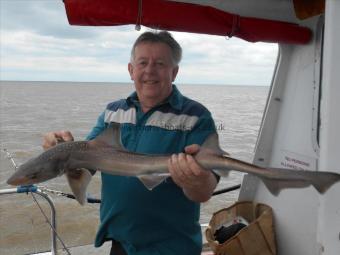 6 lb Starry Smooth-hound by Landlord Tony