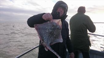 6 lb 4 oz Thornback Ray by Gary from London