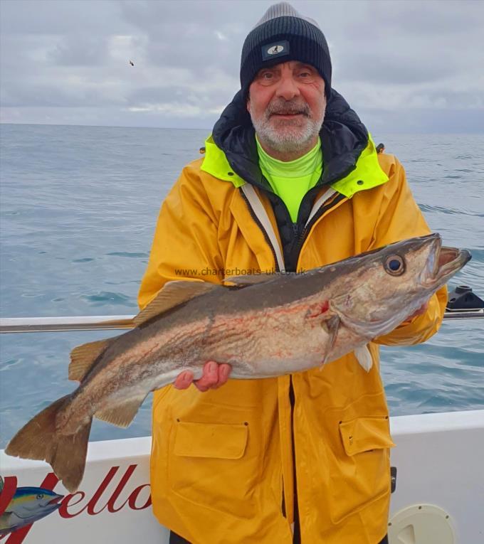 12 lb 8 oz Pollock by Steve