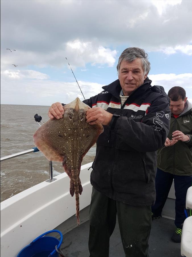 6 lb Thornback Ray by Bernard