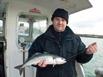 2 lb 8 oz Coalfish (Coley/Saithe) by Neil