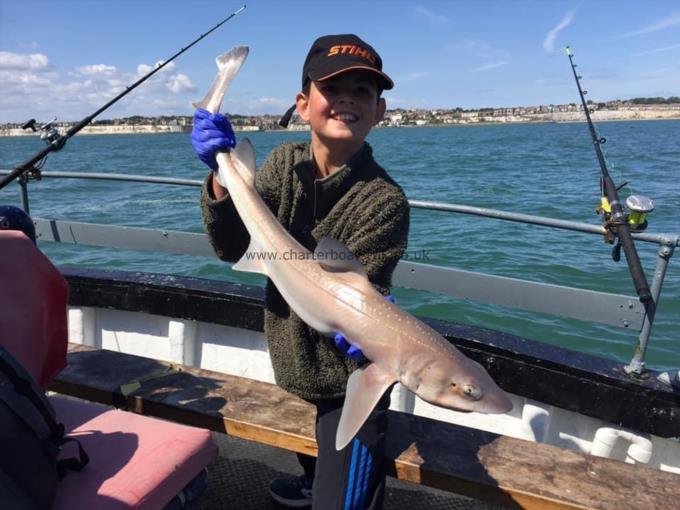 7 lb Smooth-hound (Common) by Unknown