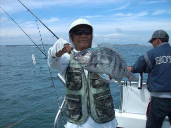 3 lb 2 oz Black Sea Bream by Wai